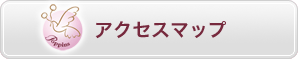 アクセスマップ