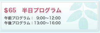 $65半日プログラム