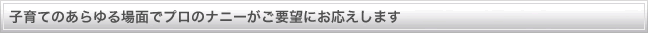 子育てのあらゆる場面でプロのナニーがご要望にお応えします