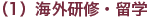 （1）海外研修・留学