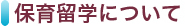 保育留学について