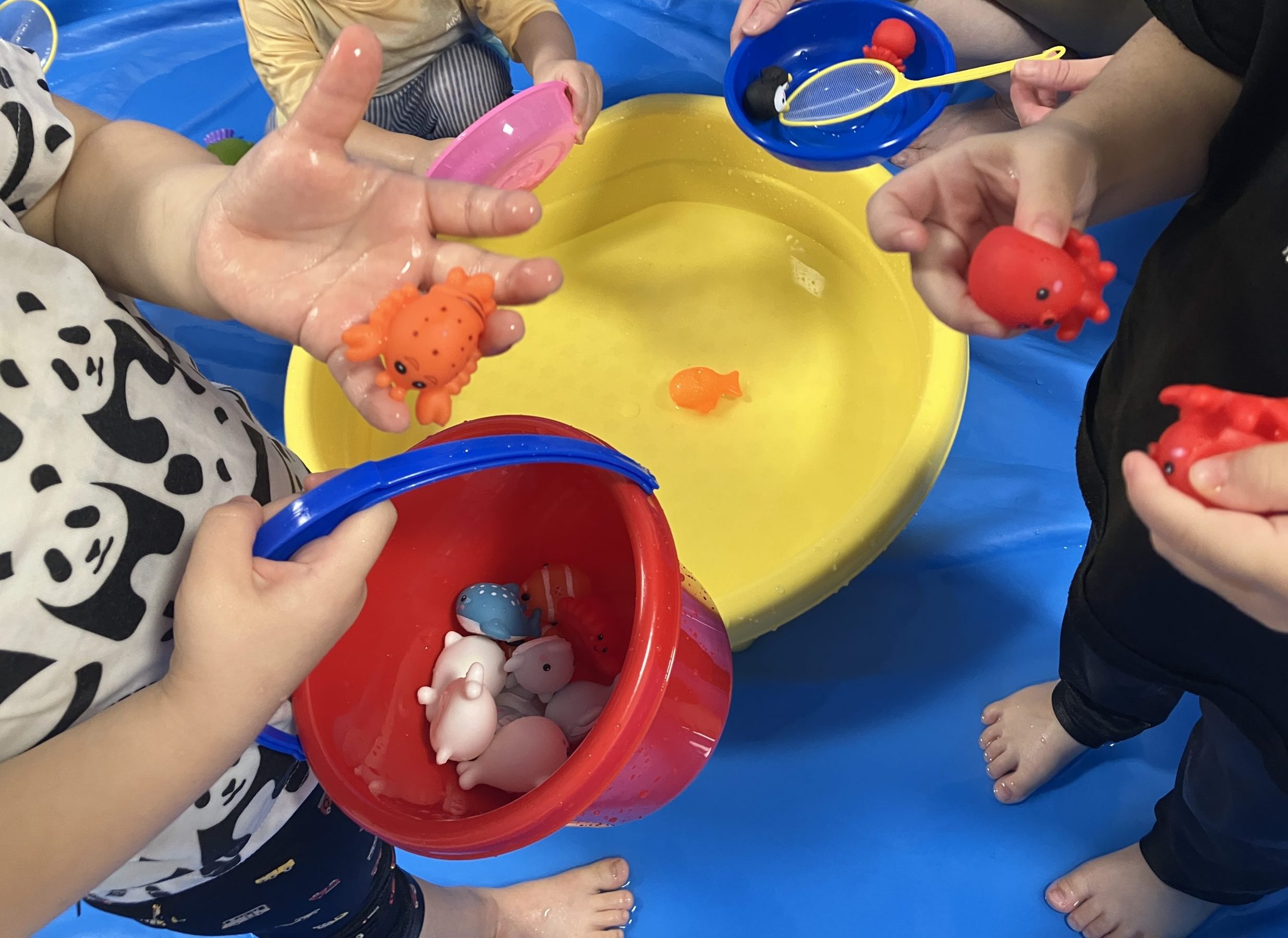 水遊びが始まりました🐟 | ポピンズエデュケア