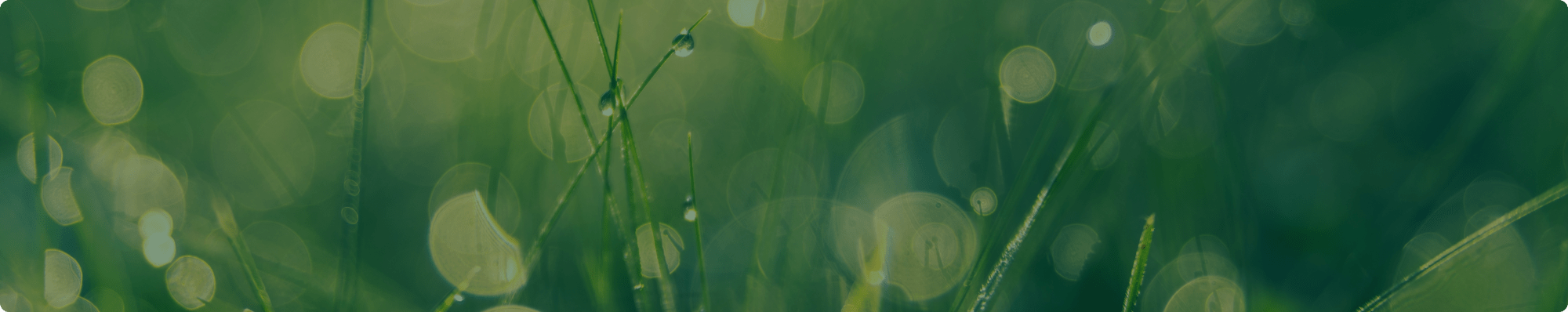 気候変動への取組み - TCFDへの対応