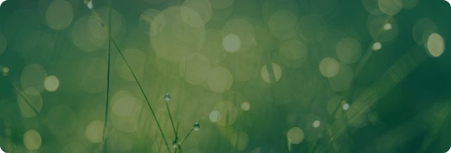 気候変動への取組み - TCFDへの対応